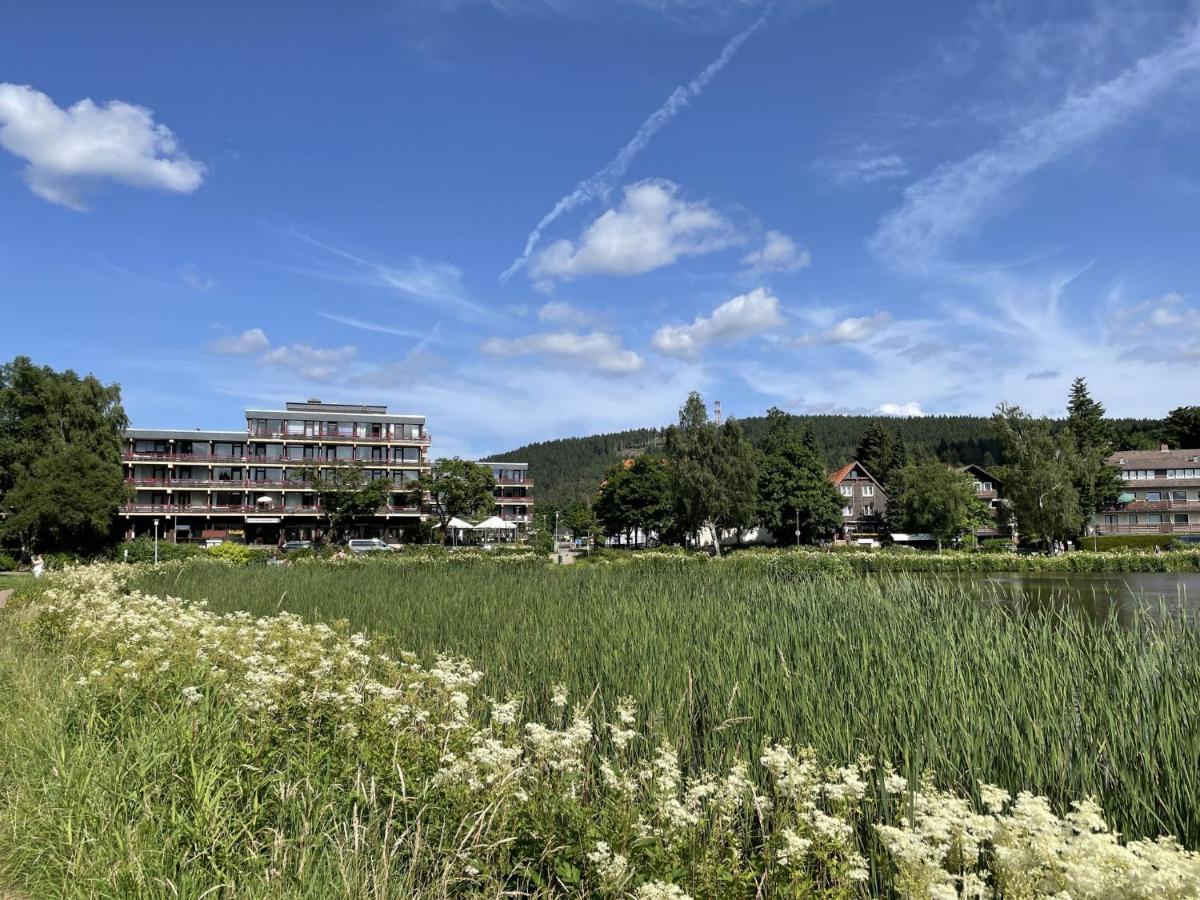 Apartment Haus Vier Jahreszeiten Am Vier Jahreszeiten - Hs 221 Goslar